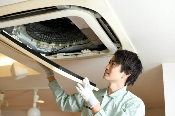Best Air Duct Cleaning Near Me  in Telford, TN
